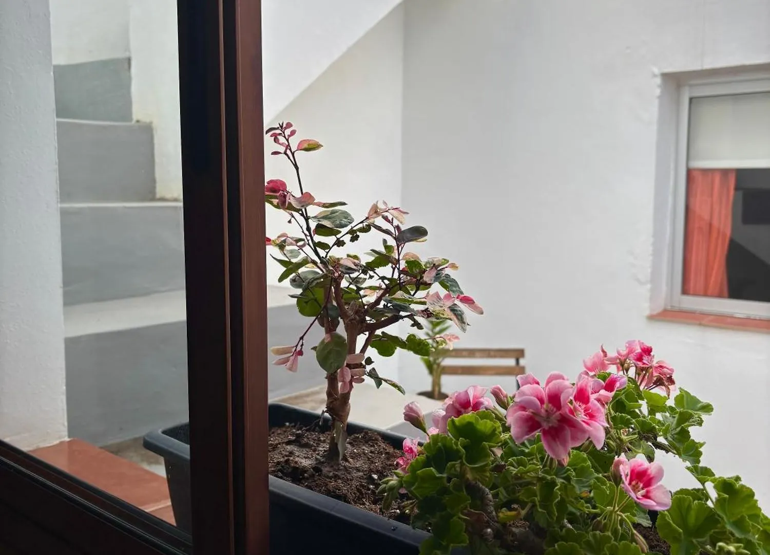 Casa Vistabuena Villa Buenavista Del Norte